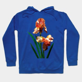 Irises - Bronze-Colored Irises Hoodie